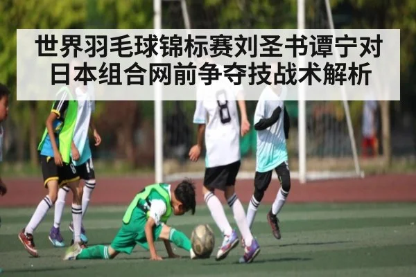 世界羽毛球锦标赛刘圣书谭宁对日本组合网前争夺技战术解析