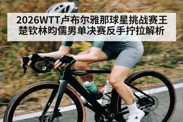 2026WTT卢布尔雅那球星挑战赛王楚钦林昀儒男单决赛反手拧拉解析